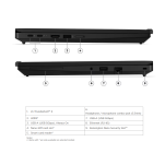 Notebook Lenovo ThinkPad T14 Gen 7 (21WN004QPB) - 14