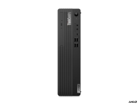 Lenovo ThinkCentre M75s SSF Gen 2 (11R8003YPB) - 4
