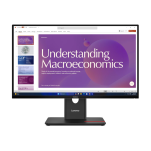 Monitor Lenovo ThinkVision T24d-40 (64B9GAT1EU) - 2